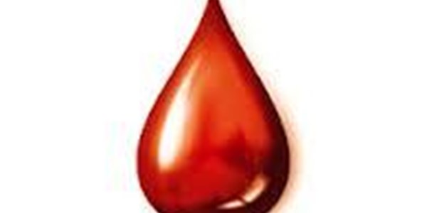 Proeflopie met sintetiese bloed begin in 2017 | News Article