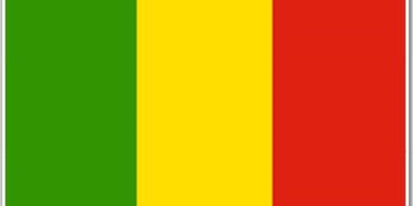 Report: Mali hostages freed | News Article