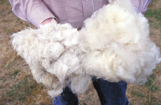 What’s new in Farmer’s Weekly? | News Article
