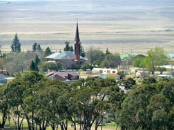 Tweeling lok mense van oral in SA vir feesviering | News Article