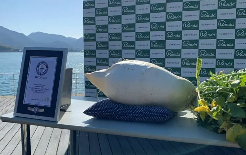 Japannese radys weeg swaarste ter wêreld | News Article