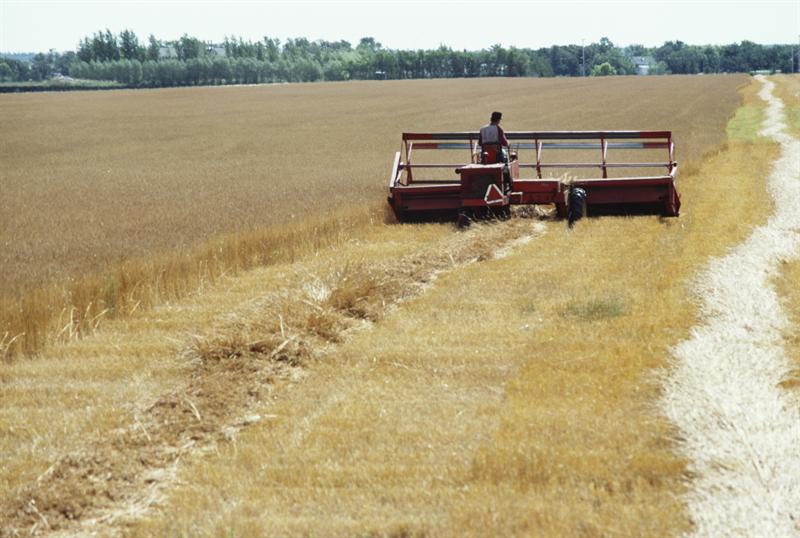Werkgewer/werknemer-verhouding kardinaal vir stabiliteit | News Article