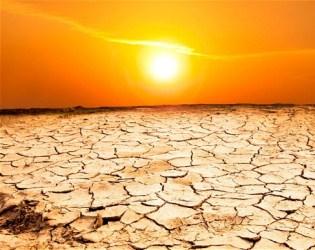 Agri-NW pleit vir spoedige ramphulp | OFM