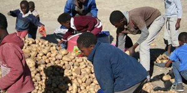 Boer gee tonne aartappels vir armes Boer gee tonne aartappels vir armes | News Article