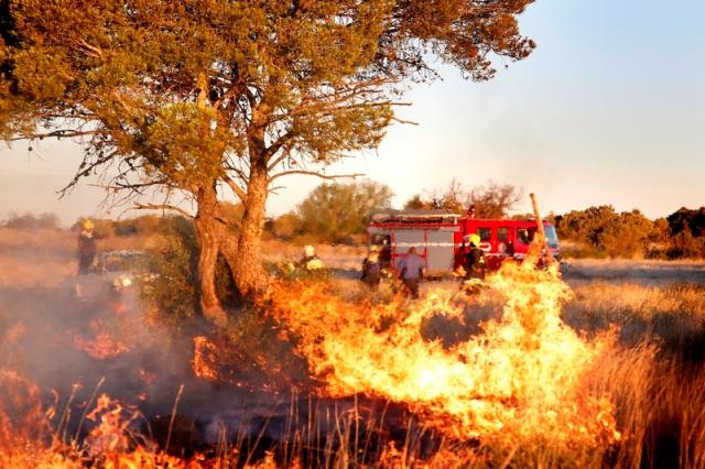 FS fire fighters battle 15 blazes in one day | News Article