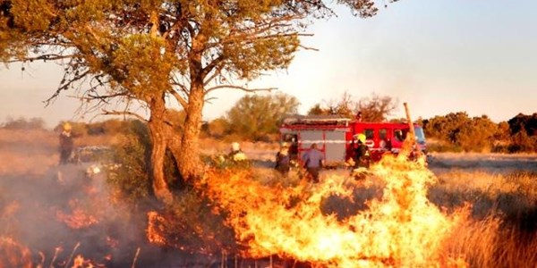 FS fire fighters battle 15 blazes in one day | News Article