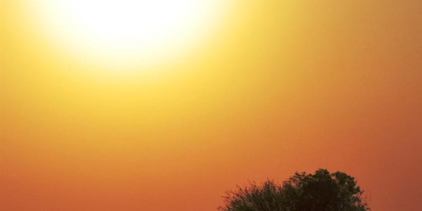 Droogte dreig in Wes-Kalahari, Boesmanland Droogte dreig in Wes-Kalahari, Boesmanland | News Article