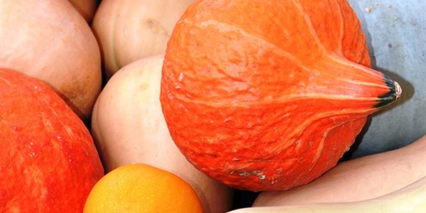 North West farmers get "show and tell" opportunity North West farmers get "show and tell" opportunity | News Article