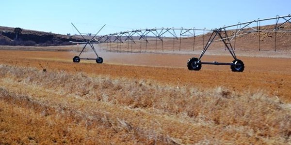 Farmers also affected by water restrictions | News Article