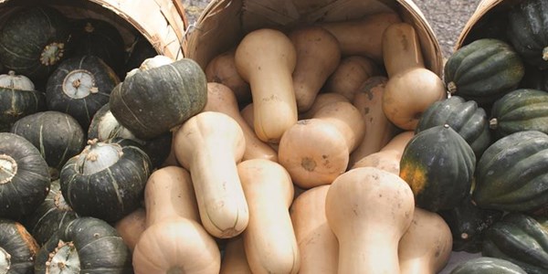 Govt procurement process in the spotlight at agri workshop Govt procurement process in the spotlight at agri workshop | News Article