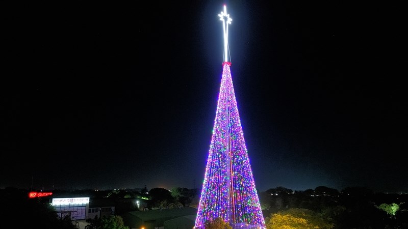 Hartbeespoort spog met Afrika se hoogste Kersboom Hartbeespoort spog met Afrika se hoogste Kersboom | News Article