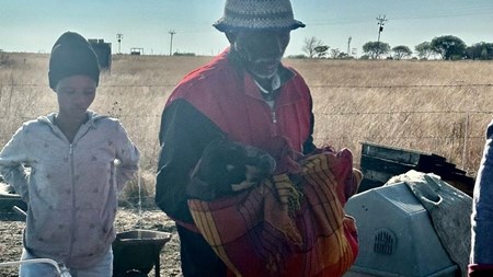 Bloemfonteiner in hegtenis ná hy hond lewend brand | News Article