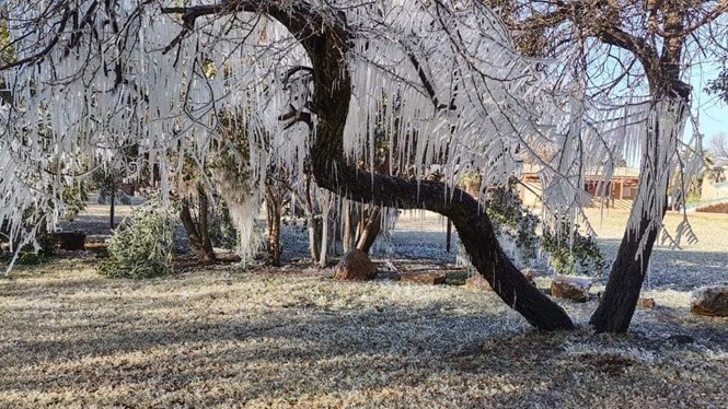 Cold front expected in Central SA Cold front expected in Central SA | News Article