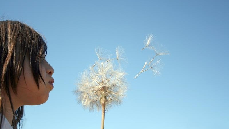 Landbounuus-podcast: Waarskuwing van sterk winde | News Article