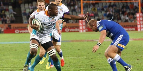 Eight Springboks run out against the Sharks | News Article