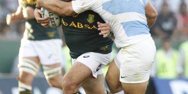 Matfield and Alberts back in Bok mix | News Article