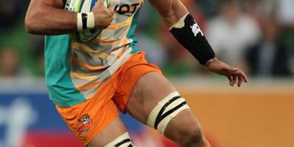 The Cheetahs name team to face the Sharks | News Article