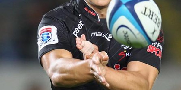 The Sharks ready for Cheetahs match | News Article