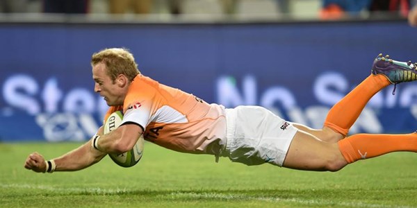 Cheetahs looking forward to welcome back former players | News Article