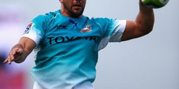 Cheetahs sign Reniel Hugo | News Article