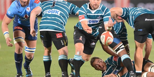 Griquas and Province remain unbeaten | News Article