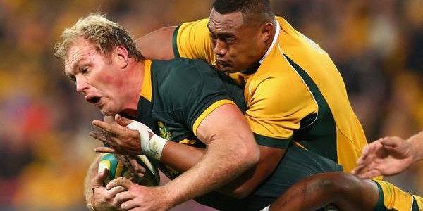 No panic stations for the Boks yet | News Article