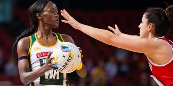 Proteas impress against Wales | News Article