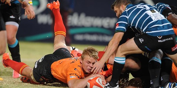 FS Cheetahs braced for Movember Cup | News Article