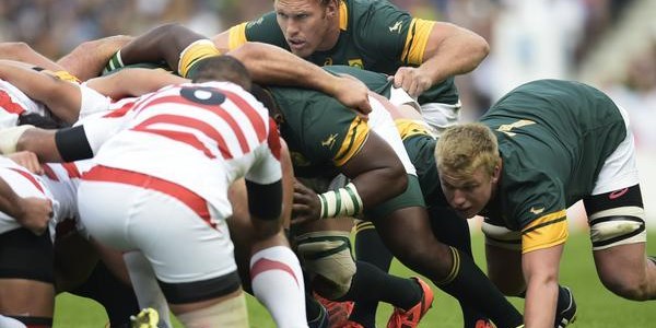 Springboks accept full responsibility for Japan defeat | News Article