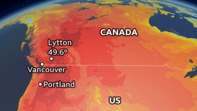 Canada heatwave: Hundreds of sudden deaths recorded | News Article