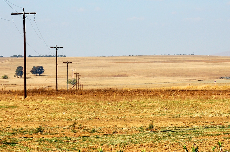 #Agbiz: SA has sufficient food supplies, price pressures on consumers likely to ease | News Article