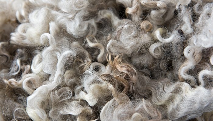 SA wolmark verhandel vandeesweek sywaarts | News Article