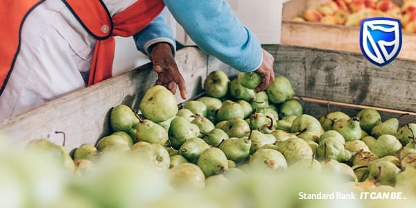 Embracing Agritech solutions for a more resilient agricultural sector | News Article