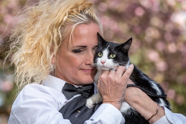Weird Wide Web - UK mother marries her cat | News Article