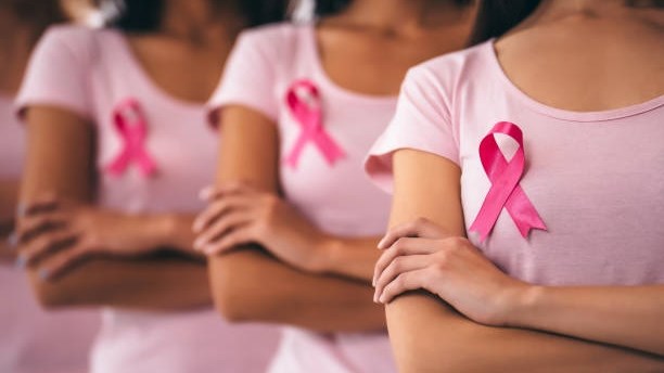Breast Cancer Stats In Sa And How Cansa Provides Support Ofm 3602