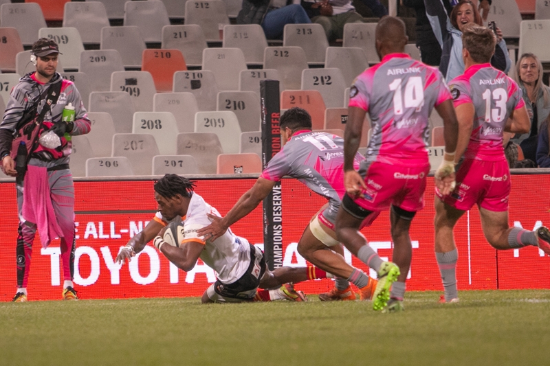 Cheetahs want to regain their momentum | News Article