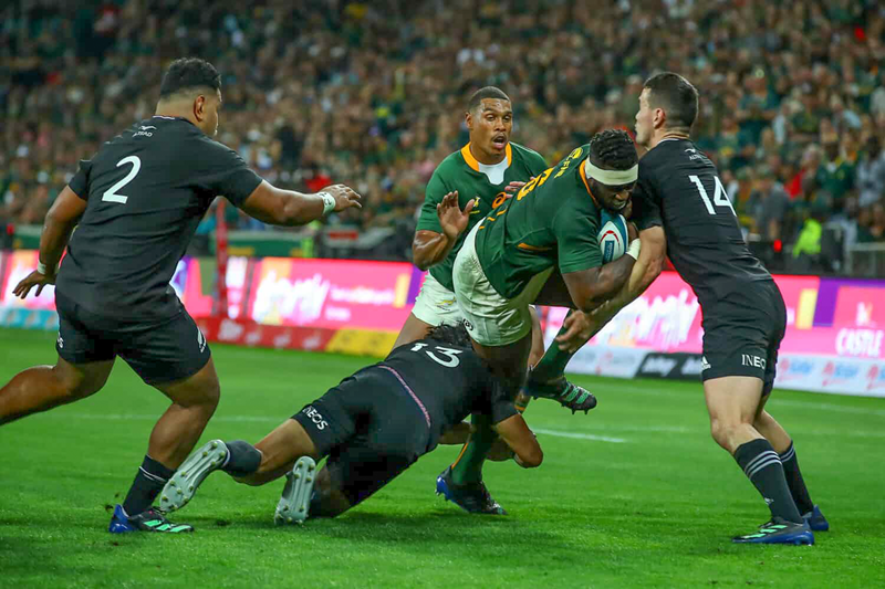 We can't keep our heads down for long - Kolisi | News Article