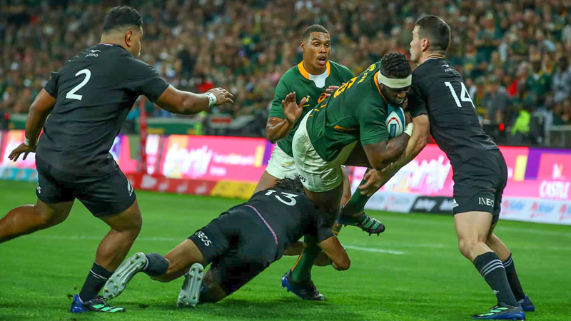 We can't keep our heads down for long - Kolisi | News Article