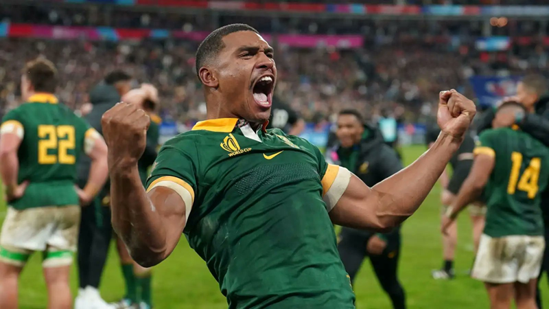 Willemse hails gutsy Springboks as attention shifts to Ireland | News Article