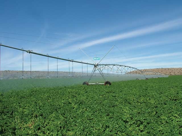 '2021 was oor die algemeen 'n goeie landboujaar' - VS Landbou | News Article