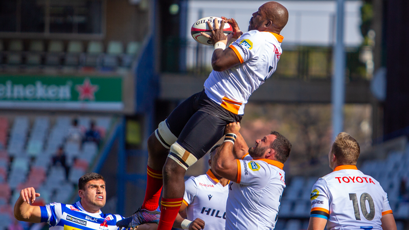 Cheetahs target more clinical performance against Province | News Article