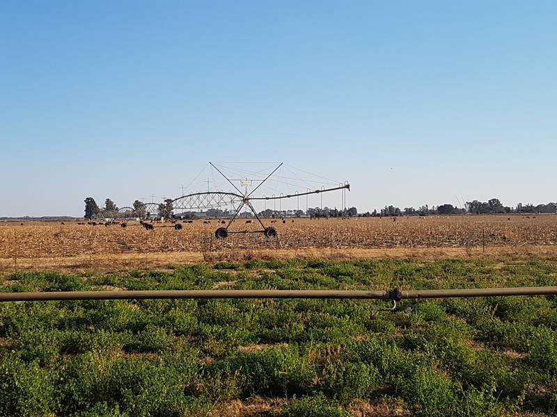 Agri-Uur: Jongste Safex-nuus | News Article