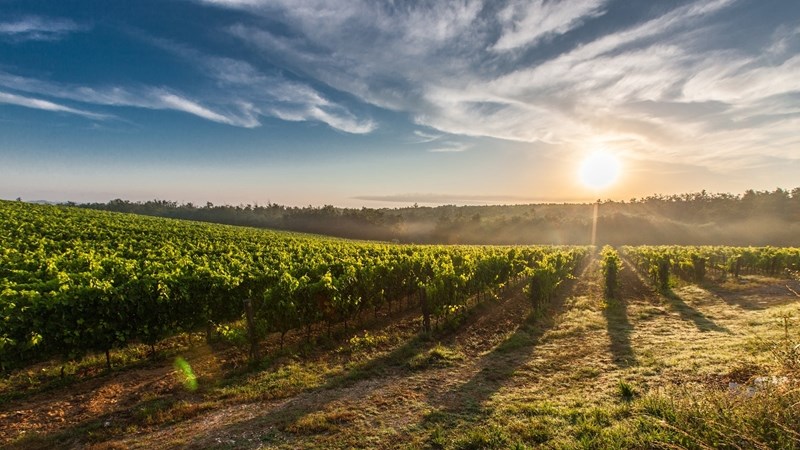 Amper weer tyd vir produsente om lone te verklaar Amper weer tyd vir produsente om lone te verklaar | News Article