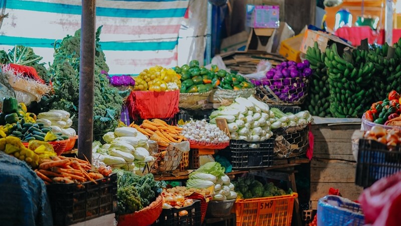 Landbounuus: Plaasaanvalle en -moorde bring voedselsekerheid in gedrang Landbounuus: Plaasaanvalle en -moorde bring voedselsekerheid in gedrang | News Article