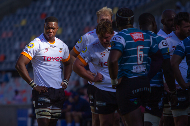 Cheetahs look to bounce back against EP | News Article