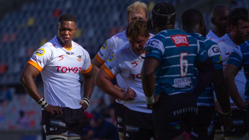 Cheetahs look to bounce back against EP | News Article