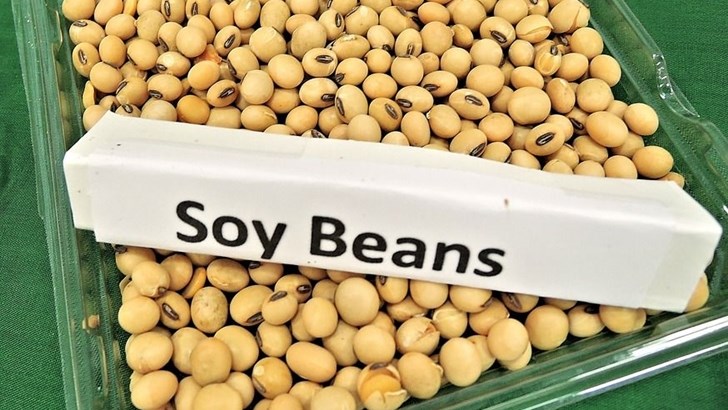 Agri-Uur: Jongste Safex-nuus Agri-Uur: Jongste Safex-nuus | News Article