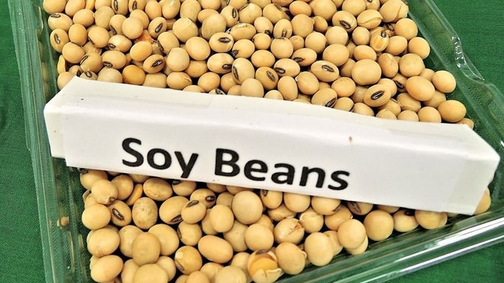 Agri-Uur: Jongste Safex-nuus Agri-Uur: Jongste Safex-nuus | News Article
