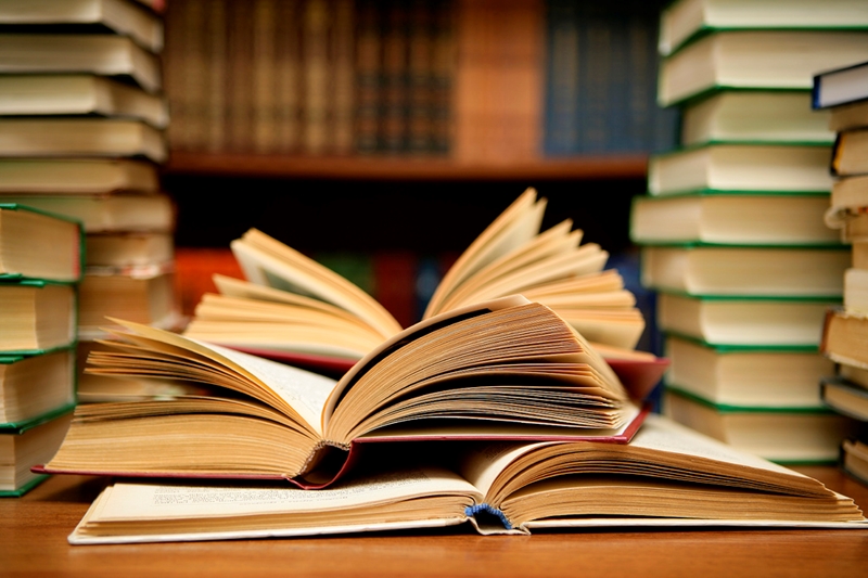 Vuurwarm boekbesprekings verdryf die Clarens koue | News Article