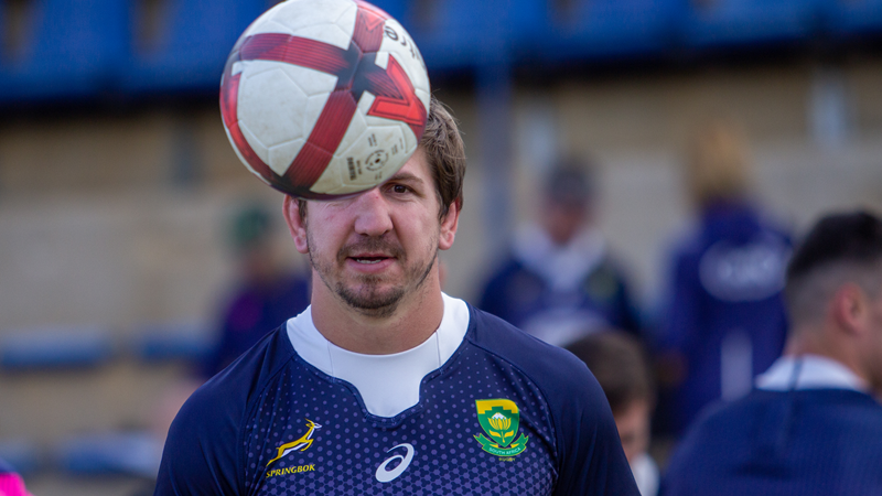 Boks not expecting a win on a silver platter Boks not expecting a win on a silver platter | News Article